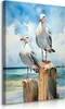 Muralo Leinwandbild CANVAS MÖWEN Über Dem Meer Natur Br. 20 Produktbild-Vorschau 2