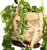 BioCoco Pot Vaso in cocco per orchidee epifite Anteprima dell’immagine prodotto 7