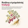 Medical Pharma Berberine HCl 60 kapsułek Podgląd zdjęcia produktu 5