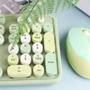 A close-up shot of a green and yellow keyboard and mouse set with a fern leaf resting on the keyboard. Náhled obrázku produktu