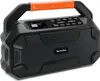 TechniSat DIGITRADIO 231 OD | DAB+/UKW Outdoor-Boombox mit Produktbild-Vorschau 2