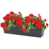 Blumenkasten Balkonkasten 600 mm aus Kunststoff – Farbe Produktbild-Vorschau 6