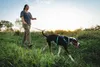 Ruffwear Hi & Light™ Hundegeschirr Produktbild-Vorschau 10