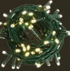 A coiled string of green LED lights with warm white bulbs. Produktbild-Vorschau
