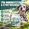 REAVET Chlorella Tabletten für Hunde 500 Stück – Produktbild-Vorschau 2