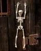 Halloween Skelett 40 cm - Beweglich Produktbild-Vorschau 2