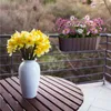Prosperplast 4.9l Boardee Collection 38.3x21.2x13 Cm Produktbild-Vorschau 25