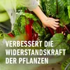 Garten Langzeit-Dünger (2 kg) | Dünger von COMPO Produktbild-Vorschau 6