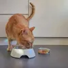 Comfy Appetit Premium Mousse - mokra karma z łososiem dla Podgląd zdjęcia produktu 5