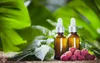 Himbeersamenöl, unraffiniert, natürlich, kaltgepresst, 30 Produktbild-Vorschau 7