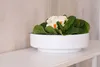 VIVANNO Dekoschale Fiberglas ESCADA LOW Schale, Weiß matt - Produktbild-Vorschau 7