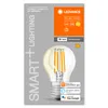 LEDVANCE SMART+ WiFi Filament Mini Bulb Dimmable, Produktbild-Vorschau 4