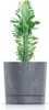 Prosperplast s.r.o. Květináč TUBO P BETON EFFECT 33,8 cm Náhled obrázku produktu 3
