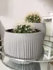 Kvetináč s vložkou BETON BOWL 23,8 cm - čierny Náhľad obrázku produktu 8