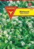 Bärlauch Produktbild-Vorschau 1