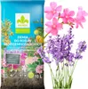 Erde für Oleander - 10l - Mediterran - Hochwertig - Gute Produktbild-Vorschau 1