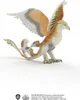 Donnervogel Voir les images du produit 14