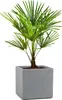 Scheurich 240/40 Pflanzgefäß C-Cube Stony Grey - 38 cm x 38 Produktbild-Vorschau 4