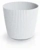 Prosperplast Pflanztopf Buckingham - elfenbeinweis - D23 cm Produktbild-Vorschau 6