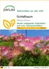 SAFLAX - Schlafbaum - Albizia julibrissin - 50 Samen Produktbild-Vorschau 1