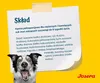 A dog is looking at a piece of paper with text on it, which is a product description for dog food. The Josera logo is visible. Náhled obrázku produktu