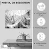 ARTland Poster Pusteblume in schwarzweiß Größe: 80x60 cm Produktbild-Vorschau 2