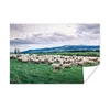 MuchoWow® Poster Schafe - Natur - Gras 60x40 cm - Produktbild-Vorschau 2