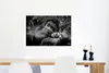 MuchoWow® Poster Liebender Orang-Utan mit Jungtier in Produktbild-Vorschau 5