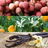 A collage of three images: lychee fruits, orange blossoms and fruits, and vanilla beans. Podgląd zdjęcia produktu