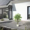 ML-Design Kunstpflanze Ficus 120cm Künstliche Pflanzen groß Produktbild-Vorschau 8