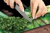 Glasschutzplatte Für Herd 90X52 Basil Produktbild-Vorschau 3