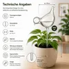 Bewässerungskugeln 2er Set Vögel Glas Gießkugeln Produktbild-Vorschau 8
