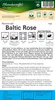 Pflanzkartoffel Baltic Rose (10 Stück) (rot, vorwiegend Produktbild-Vorschau 2