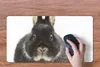 MuchoWow® Mauspad Mousepad Kaninchen - Haustiere - Fell Produktbild-Vorschau 3