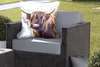 MuchoWow® Outdoor Kissen - Schottisches Hochlandrind - Produktbild-Vorschau 5