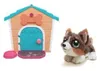 Moose Toys My Puppy's Home Mini, Chlapec / dievča, 5 rok / Náhľad obrázku produktu 6