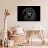 MuchoWow® Poster Orang-Utan-Profil in Schwarz und Weiß Produktbild-Vorschau 7