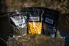 LK Baits Boilies Lukas Krasa Boilies Weltrekord Karpfen Produktbild-Vorschau 3