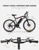 26-Zoll E-Bikes MTB Trekking E-Bikes E-Hollandrader 250W Produktbild-Vorschau 17