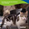 Canina Herz-Vital, Hund, Flüssigkeit, Herzmittel, Senior, Produktbild-Vorschau 5