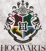 Harry Potter - Bettwäsche 135x200 + 80x80 cm Náhľad obrázku produktu 4
