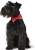 Hunter Halsband-Fliege Paris rot. Produktbild-Vorschau 6