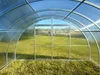 Gewächshaus GARTEN WIDE 4M 4x8 m mit 6 mm Polycarbonat, Produktbild-Vorschau 4