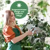 KONZEPT Blumenampel Hängend für Innen und Außen, Produktbild-Vorschau 7