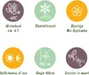Green boutiQ - Passiflore - Passiflora Rainbow  - Fleurs Voir les images du produit 7