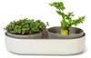 Artikelbild 1 von 'Sprossenschale & Pflanzschale ReGrow' aus der Kategorie Keimschale Produktbild-Vorschau