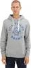 Tom Tailor Pullover Hoodie mit Kängurutasche und Logoprint Produktbild-Vorschau 5