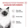 Royal Canin Kitten, Kocięta, Drób, 4 kg Podgląd zdjęcia produktu 14