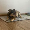 Purlov 25531 Kühlmatte für Hunde oder Katzen, 90 x 50 cm, Produktbild-Vorschau 14