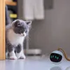 Tierball Interaktives Katzenspielzeug Ball,Automatisch Produktbild-Vorschau 4